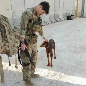 Meet your Posher, Allen